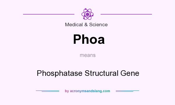 What does Phoa mean? It stands for Phosphatase Structural Gene
