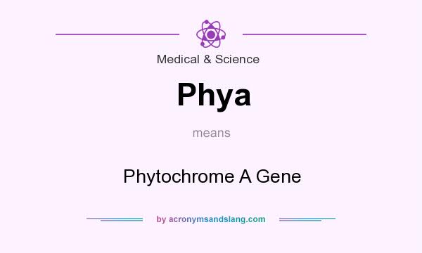 What does Phya mean? It stands for Phytochrome A Gene