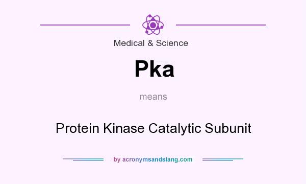 What does Pka mean? It stands for Protein Kinase Catalytic Subunit