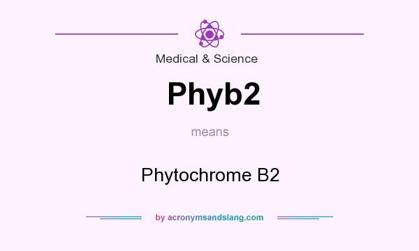 What does Phyb2 mean? It stands for Phytochrome B2