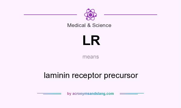 What does LR mean? It stands for laminin receptor precursor