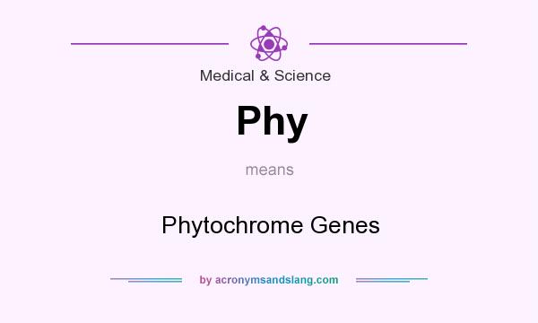 What does Phy mean? It stands for Phytochrome Genes