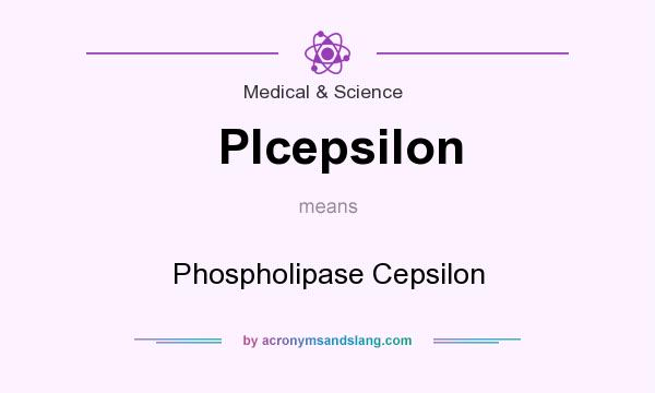 What does Plcepsilon mean? It stands for Phospholipase Cepsilon
