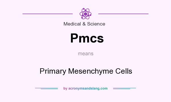 What does Pmcs mean? It stands for Primary Mesenchyme Cells