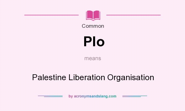 What does Plo mean? It stands for Palestine Liberation Organisation