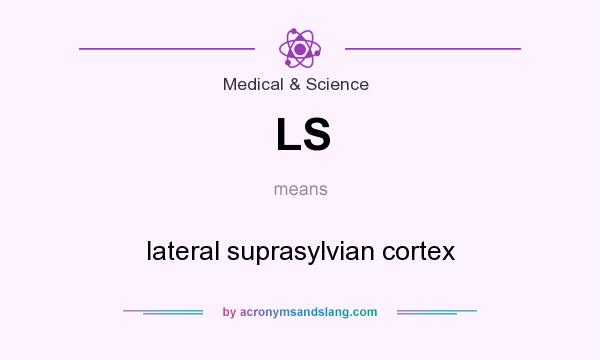 What does LS mean? It stands for lateral suprasylvian cortex