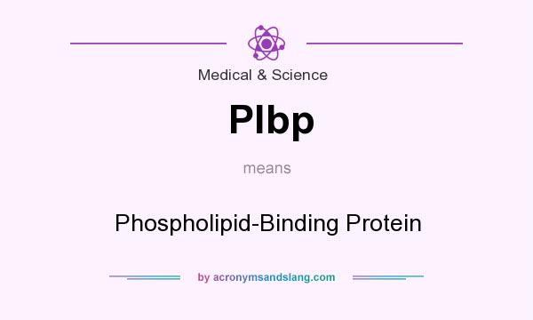 What does Plbp mean? It stands for Phospholipid-Binding Protein