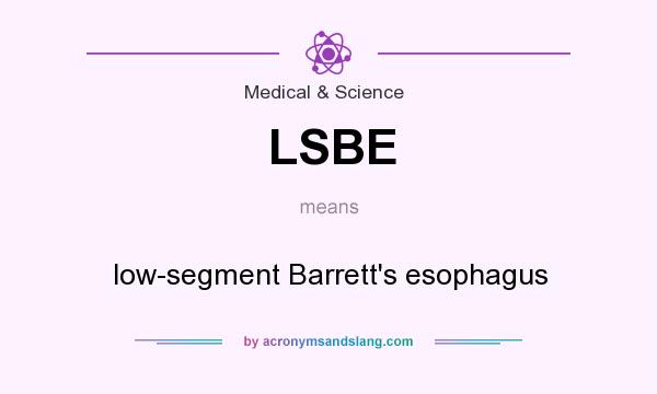 What does LSBE mean? It stands for low-segment Barrett`s esophagus