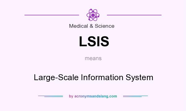 What does LSIS mean? It stands for Large-Scale Information System