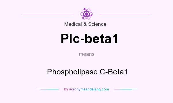 What does Plc-beta1 mean? It stands for Phospholipase C-Beta1