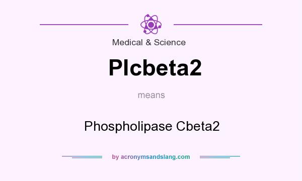 What does Plcbeta2 mean? It stands for Phospholipase Cbeta2