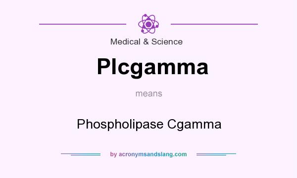 What does Plcgamma mean? It stands for Phospholipase Cgamma