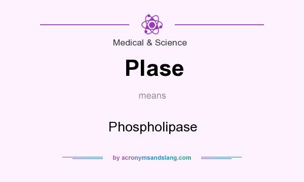 What does Plase mean? It stands for Phospholipase