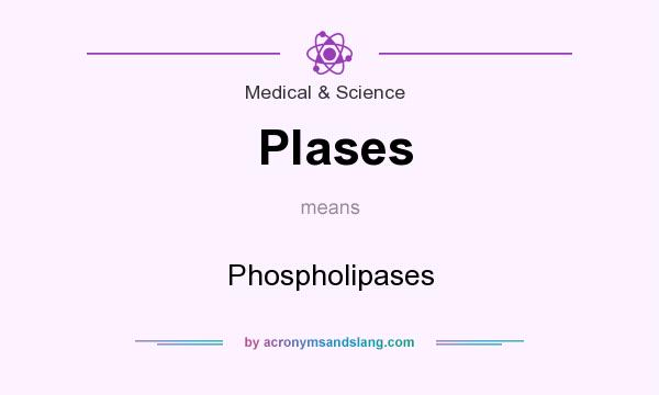 What does Plases mean? It stands for Phospholipases