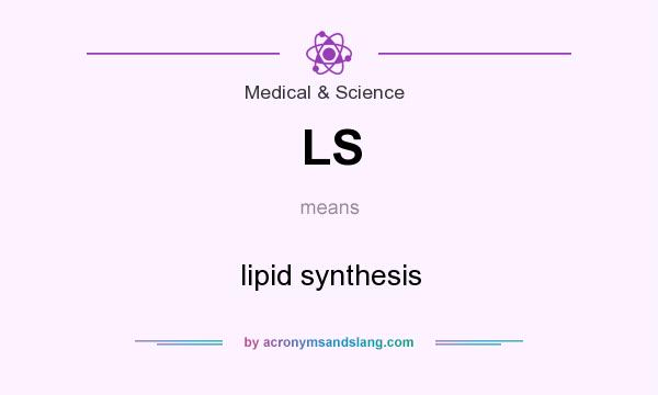 What does LS mean? It stands for lipid synthesis