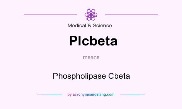 What does Plcbeta mean? It stands for Phospholipase Cbeta