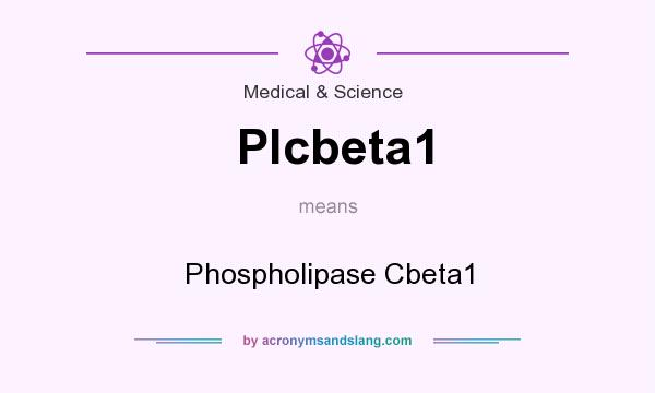 What does Plcbeta1 mean? It stands for Phospholipase Cbeta1