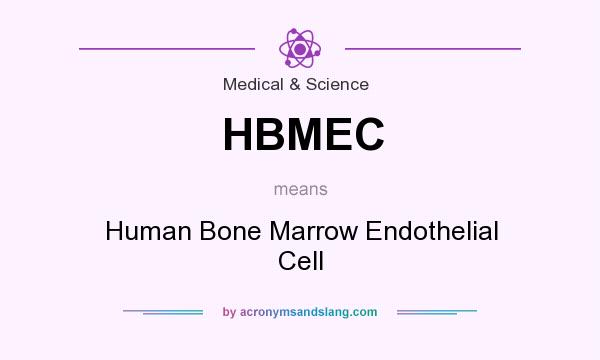 What does HBMEC mean? It stands for Human Bone Marrow Endothelial Cell