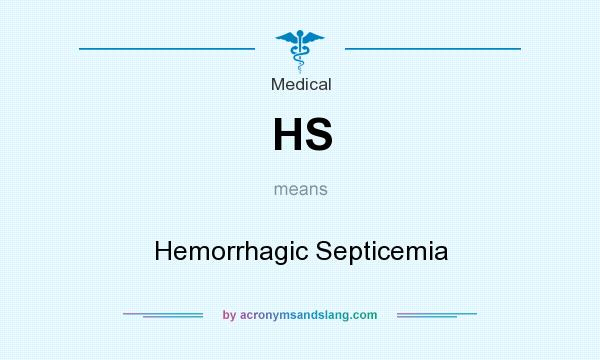 What does HS mean? It stands for Hemorrhagic Septicemia