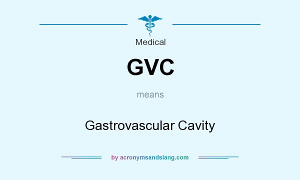 What does GVC mean? It stands for Gastrovascular Cavity