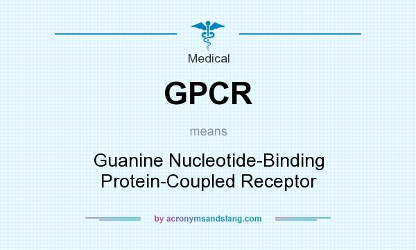 What does GPCR mean? It stands for Guanine Nucleotide-Binding Protein-Coupled Receptor
