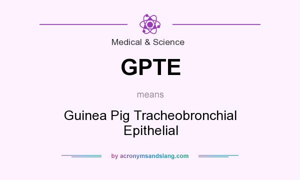 What does GPTE mean? It stands for Guinea Pig Tracheobronchial Epithelial