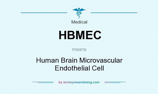 What does HBMEC mean? It stands for Human Brain Microvascular Endothelial Cell