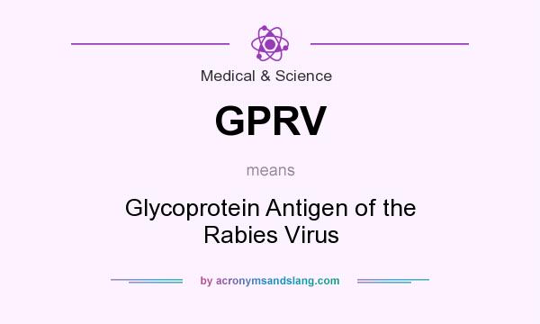 What does GPRV mean? It stands for Glycoprotein Antigen of the Rabies Virus