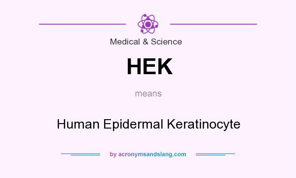 What does HEK mean? It stands for Human Epidermal Keratinocyte