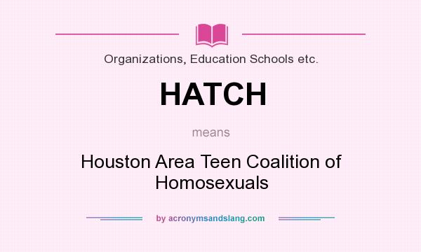 What does HATCH mean? It stands for Houston Area Teen Coalition of Homosexuals