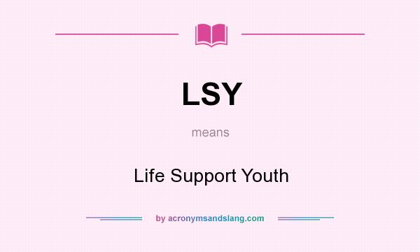 What does LSY mean? It stands for Life Support Youth
