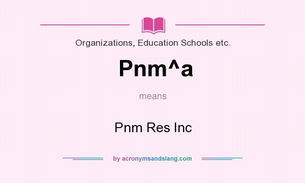 What does Pnm^a mean? It stands for Pnm Res Inc