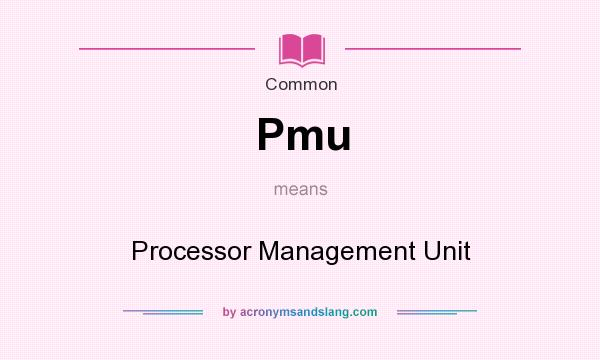 What does Pmu mean? It stands for Processor Management Unit