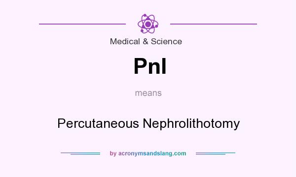 What does Pnl mean? It stands for Percutaneous Nephrolithotomy