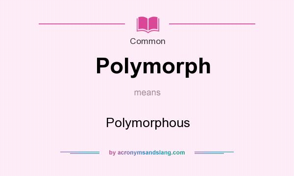 What does Polymorph mean? It stands for Polymorphous