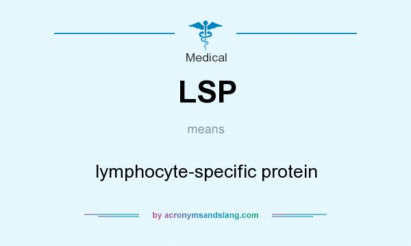 What does LSP mean? It stands for lymphocyte-specific protein