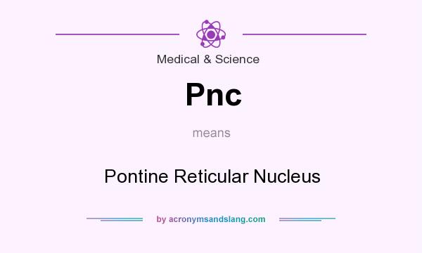 What does Pnc mean? It stands for Pontine Reticular Nucleus