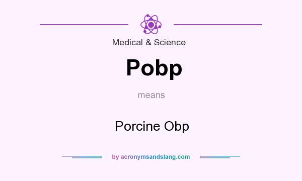 What does Pobp mean? It stands for Porcine Obp