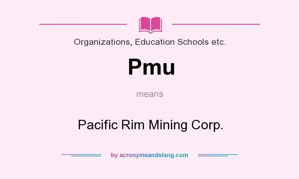 What does Pmu mean? It stands for Pacific Rim Mining Corp.