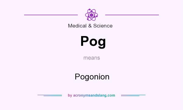 What does Pog mean? It stands for Pogonion