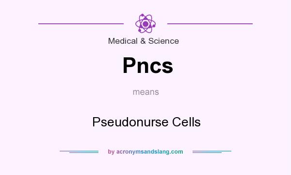 What does Pncs mean? It stands for Pseudonurse Cells