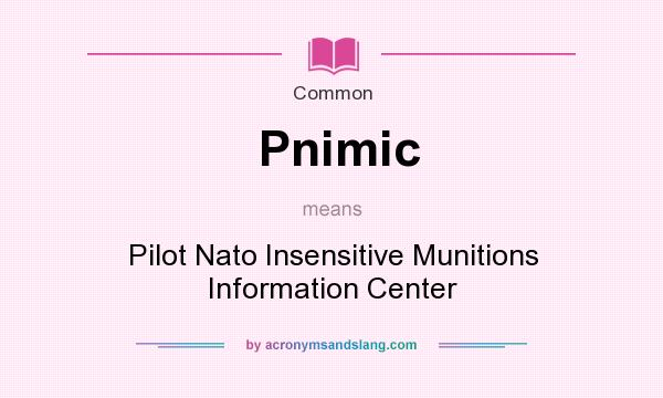 What does Pnimic mean? It stands for Pilot Nato Insensitive Munitions Information Center