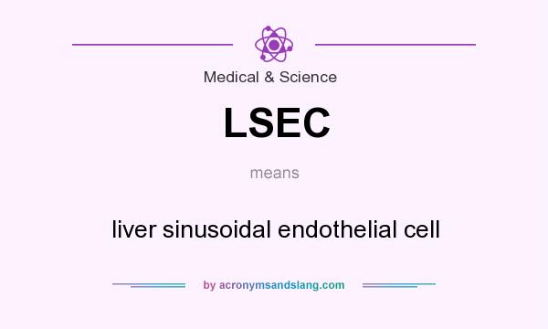 What does LSEC mean? It stands for liver sinusoidal endothelial cell