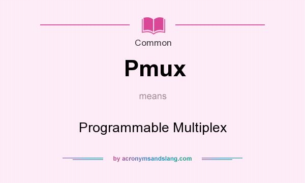 What does Pmux mean? It stands for Programmable Multiplex