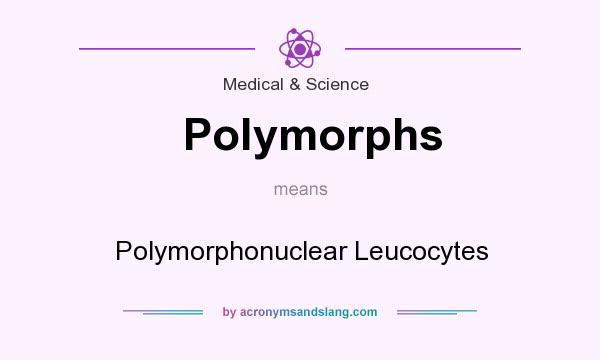 What does Polymorphs mean? It stands for Polymorphonuclear Leucocytes