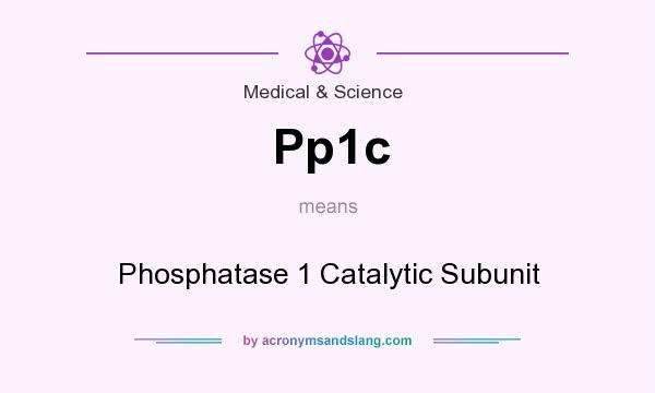 What does Pp1c mean? It stands for Phosphatase 1 Catalytic Subunit