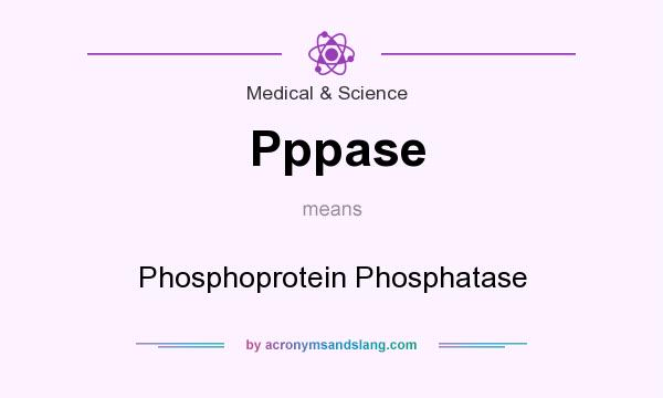 What does Pppase mean? It stands for Phosphoprotein Phosphatase