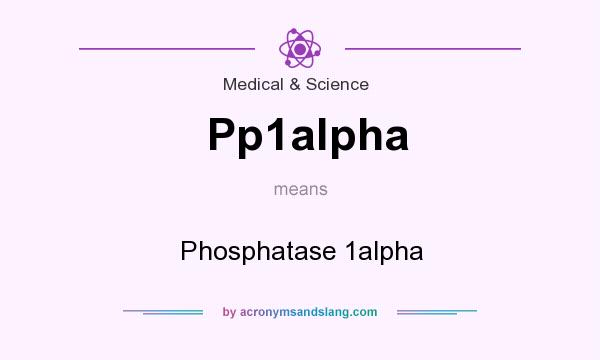 What does Pp1alpha mean? It stands for Phosphatase 1alpha