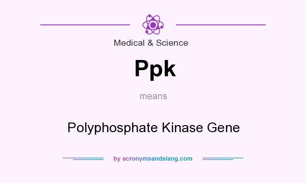 What does Ppk mean? It stands for Polyphosphate Kinase Gene