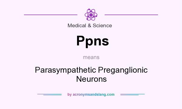 What does Ppns mean? It stands for Parasympathetic Preganglionic Neurons